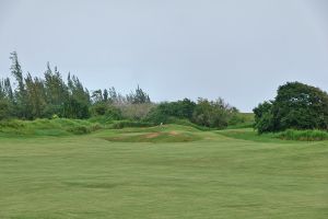 Royal Isabela 8th Approach 2024